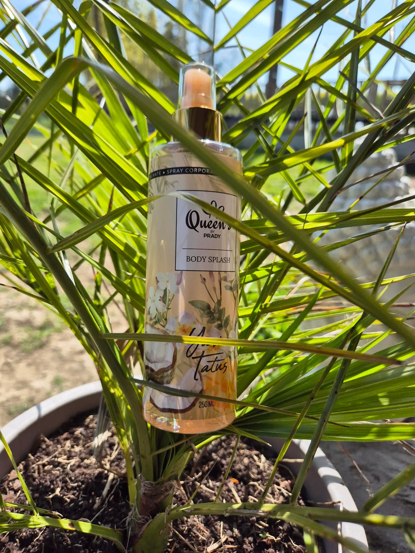brûme corporel de la collection Queen's Prady .250ml .YANIS TATUS. inspiration yara orange
