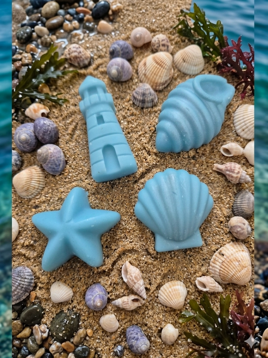 Fondant thème mer 🏖 .