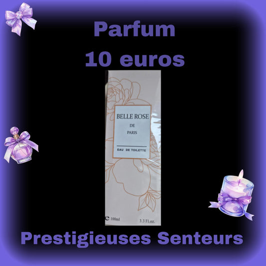 PARFUM FEMME 100 ML.BELLE ROSE dupe de COCO CHANEL