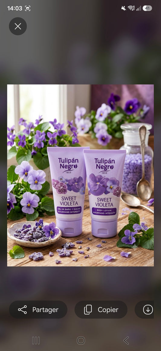 Duo Sweet Violeta . Tulipan Negro