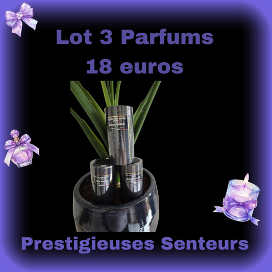 LOT DE 3 PARFUMS EN 50ML . COLLECTION PRIVEE