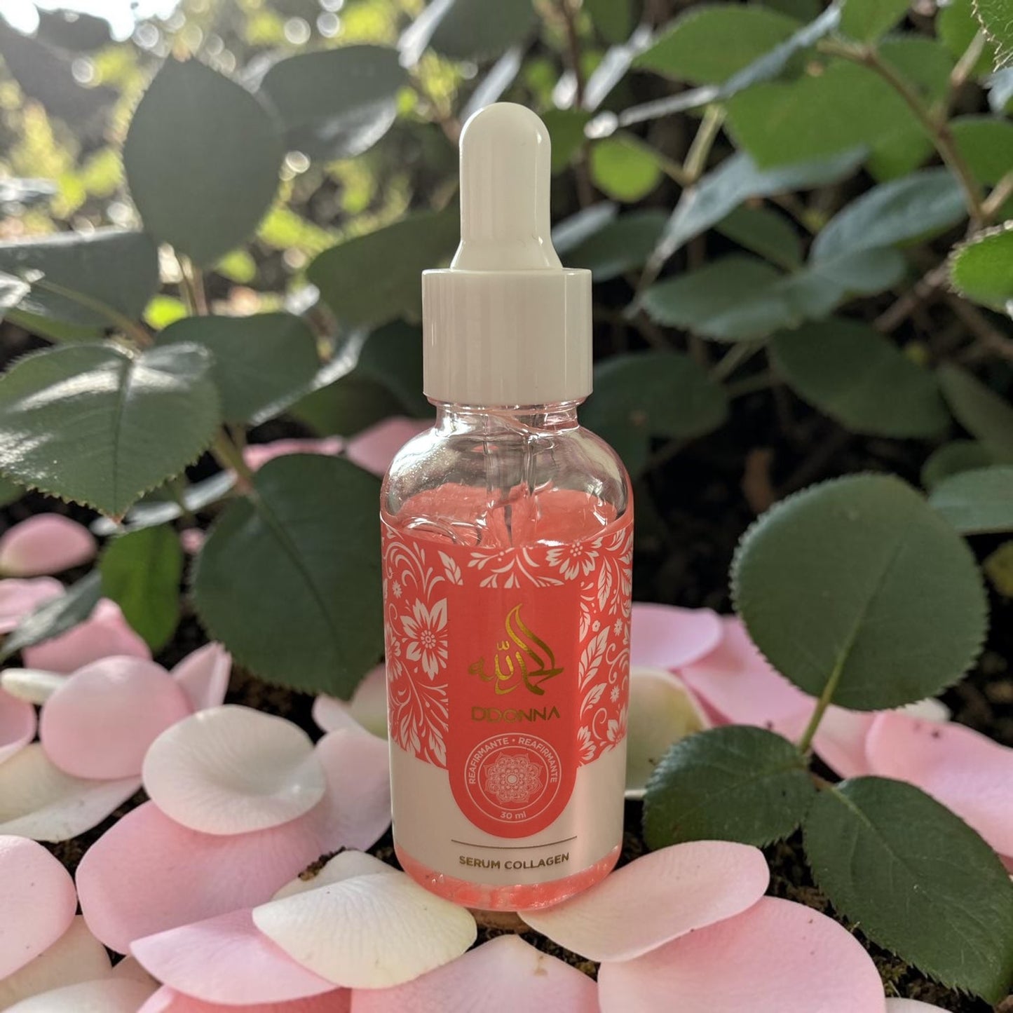 Commande Orchidée2.