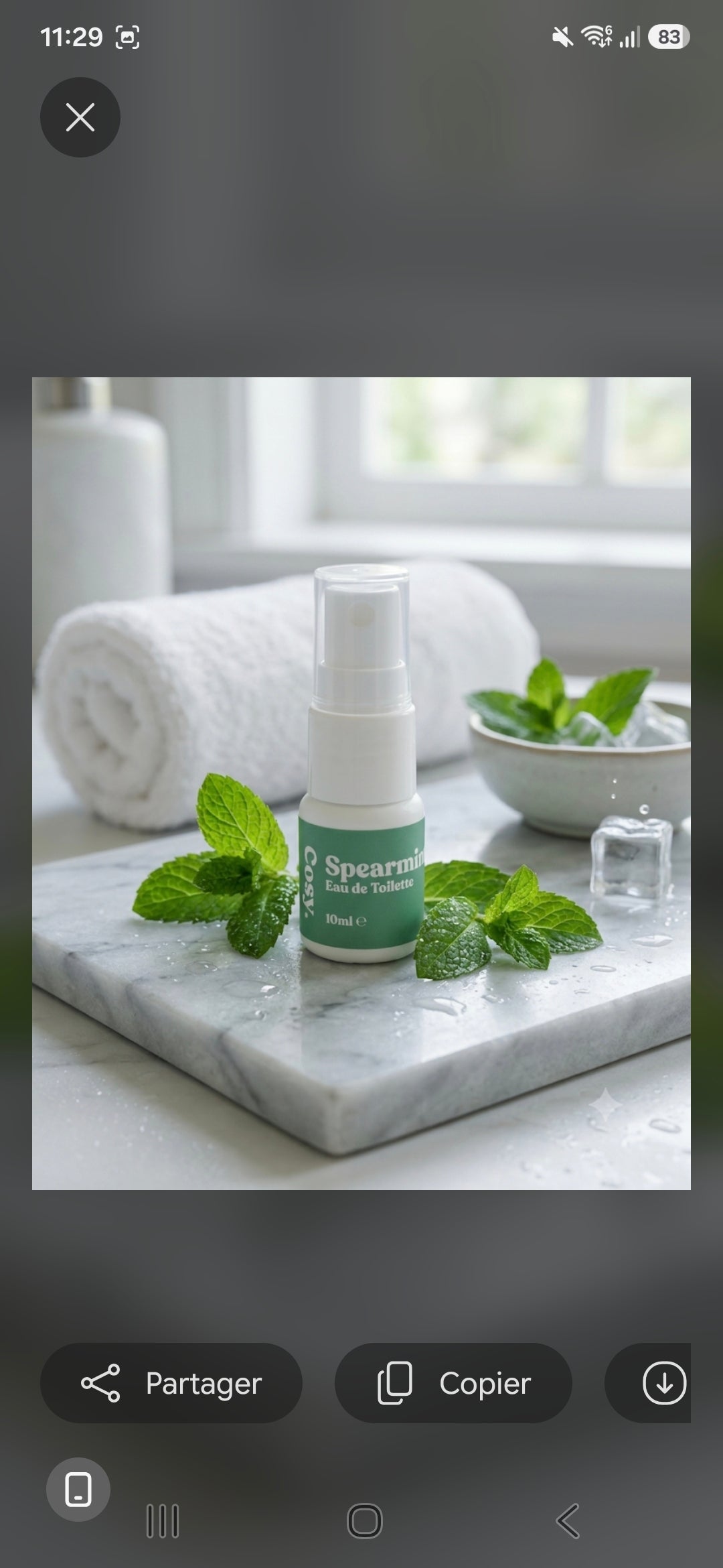 Brume cosy. 10 ml